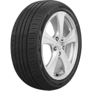 Ecosis