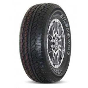 windforce_catchfors