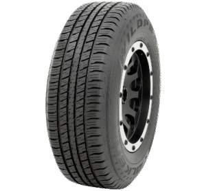 FN28550R202025sandance