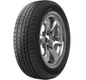 DUN22560R18100HST302025sandnace