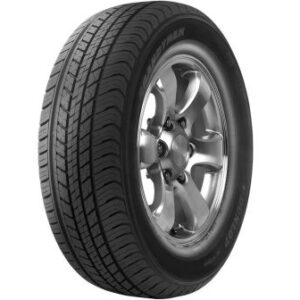 DUN22560R18100HST302025sandnace