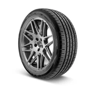 NK22555R1898V2025sandance