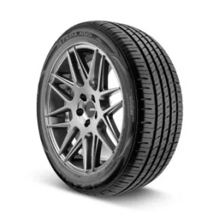 NK22555R1898V2025sandance