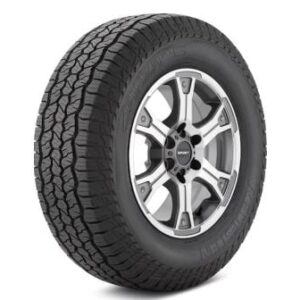VR27560R20115HPINZAAT2025sanddance