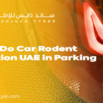Car Rodent Protection UAE