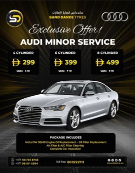 Audi minor service