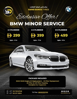 BMW minor service